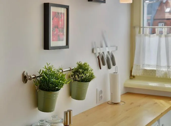 Argentis Psie Budy Iv *